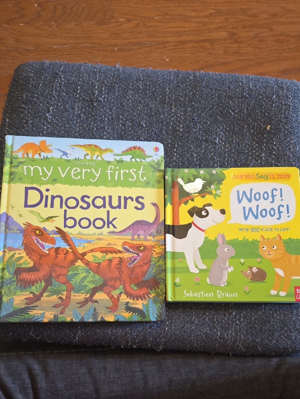 Usborne Dinosaurs Book And Animal Lift The Flap Book